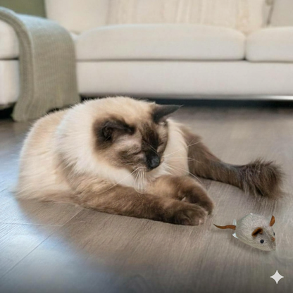 Realistisch Interactief Kattenspeelgoed